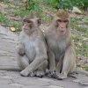 Khao Keow Zoo