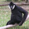 Khao Keow Zoo