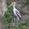 Khao Keow Zoo
