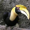 Khao Keow Zoo