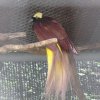Khao Keow Zoo